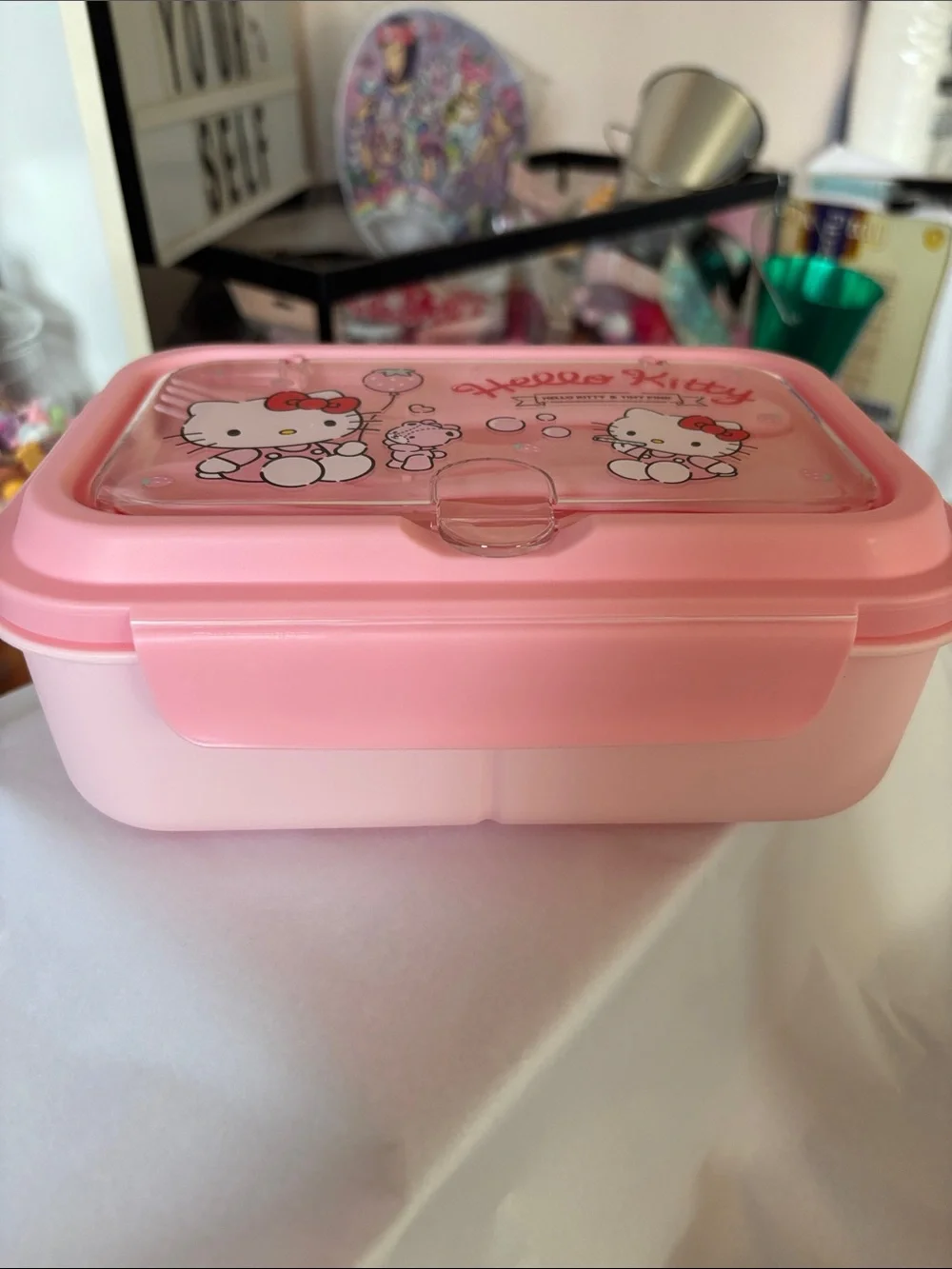 Hello Kitty Pink Plastic Bento Box with Cute Character Art